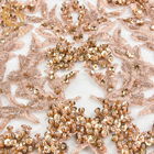 Vorzügliche perlenbesetzte Luxusstickerei der Heirats-Kleidergewebe-Dekorations-3D
